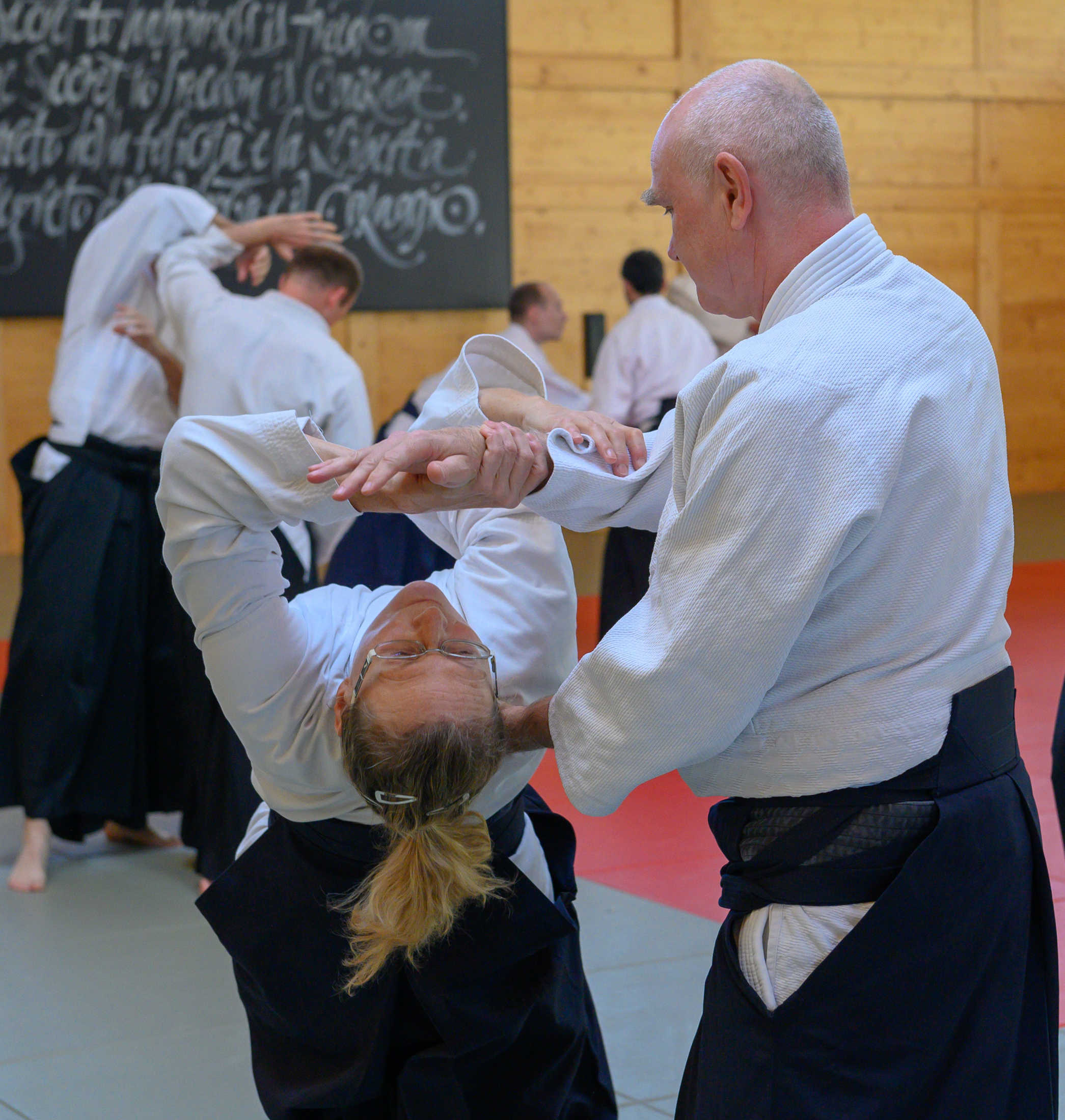 Aikidolehrgang_Wels_05_2019-2265.jpg